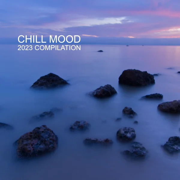 Chill Mood 2023 Compilation