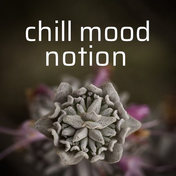 Chill Mood Notion album