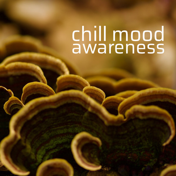 Chill Mood Awareness single