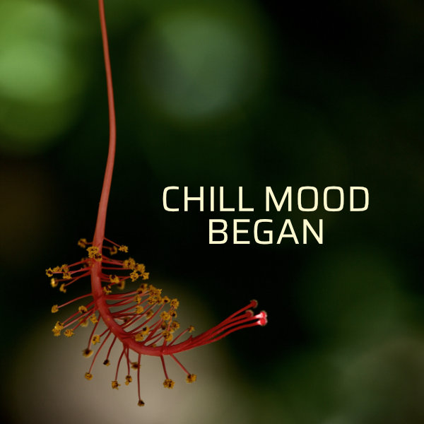 Chill Mood Began single