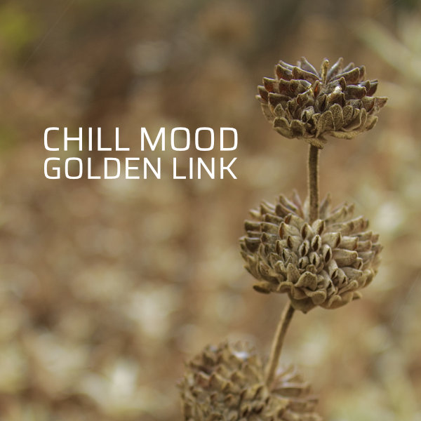 Chill Mood Golden Link single